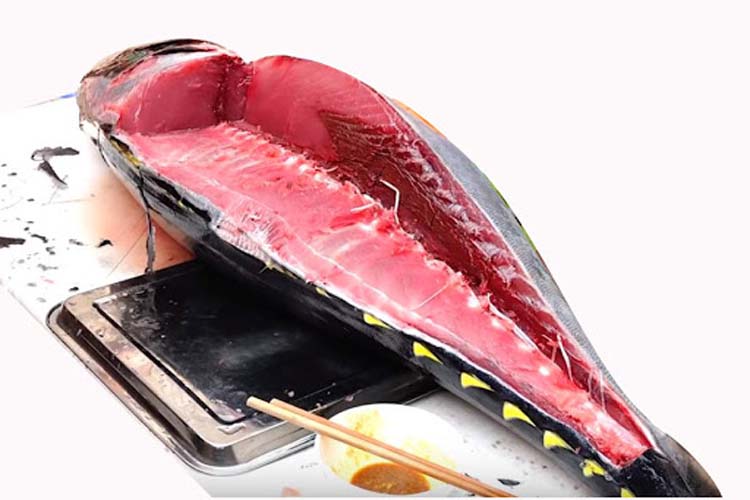 Cá ngừ đại dương - đặc sản Phú Yên làm quà