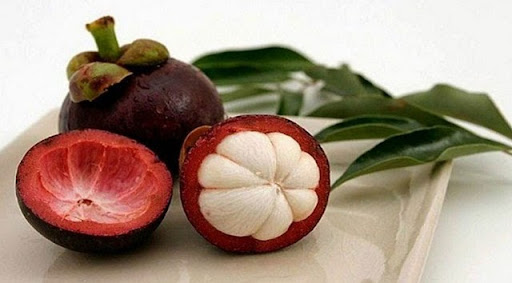 Măng Cụt là một trong những loại trái cây được ưa chuộng tại Việt Nam
