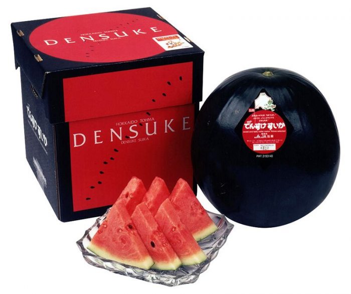 Dưa hấu đen Densuke - Tổng hợp tất cả các loại trái cây trên thế giới