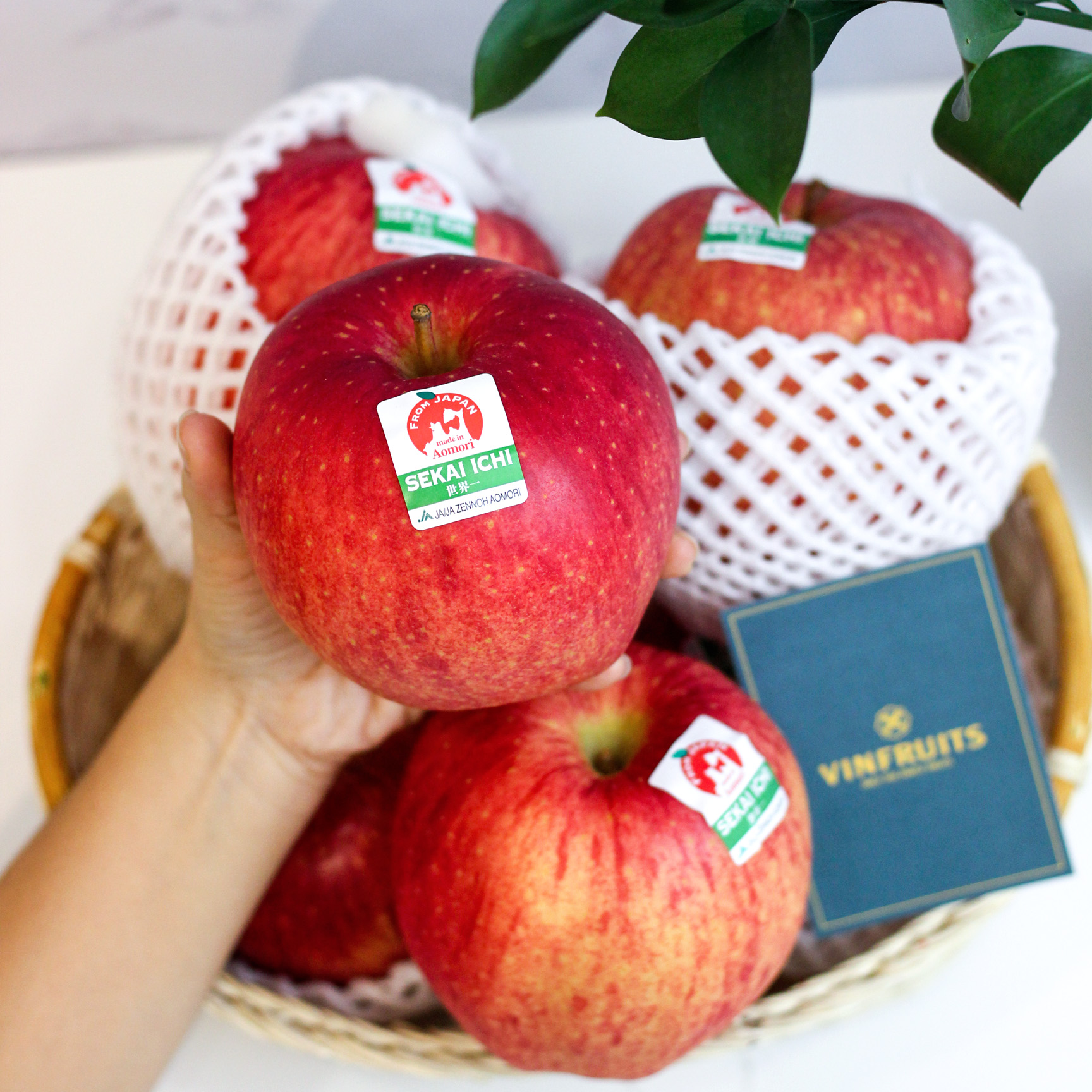 Táo Sekai Ichi - Tổng hợp tất cả các loại trái cây trên thế giới mắt tiền nhất