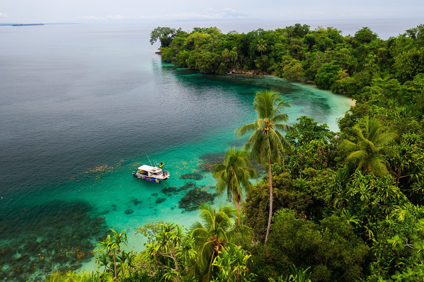 Đảo New Guinea - Hòn đảo lớn thứ 2 trên thế giới
