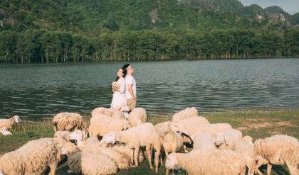 Đồi cừu Ninh Bình – địa điểm check-in siêu xinh khó lòng bỏ lỡ