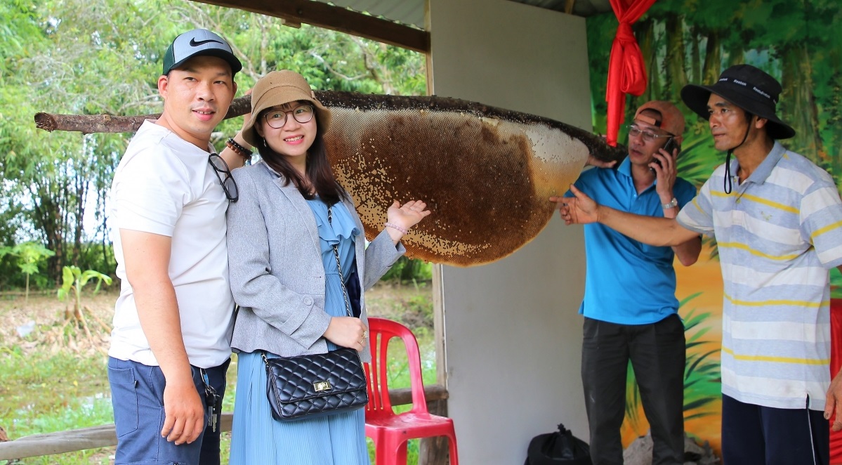Câu cá, lấy mật trong rừng U Minh Hạ
