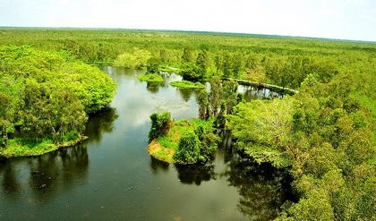 Vườn quốc gia U Minh thượng - Khám phá vẻ đẹp U Minh Kiên Giang