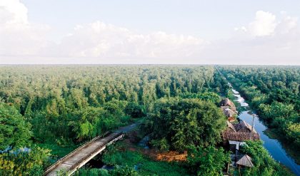 Vườn quốc gia U Minh Hạ | Khám phá địa điểm hấp dẫn tại Cà Mau