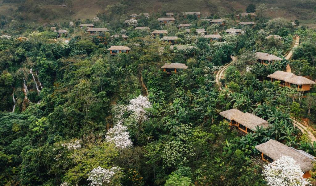 Avana Retreat - Tìm về chốn an yên nơi núi rừng Tây Bắc 