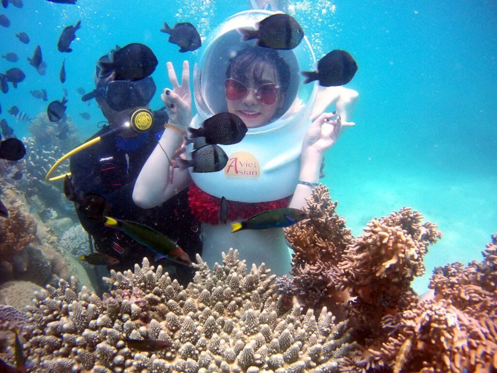 Lặn biển Hòn Mun - Khám phá thế giới san hô đầy màu sắc 